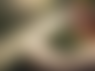 Dengue: como aplicar o repelente? Veja a maneira correta