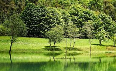 Profissões na área ambiental que talvez você não conheça