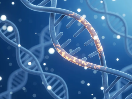 Computador de DNA consegue resolver sudoku e jogar xadrez