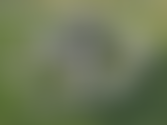 Pedra de Stonehenge tem origem surpreendente apontada em novo estudo