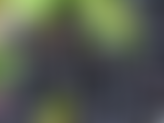 Casca da jabuticaba reduz inflamação e glicemia em quem tem síndrome metabólica