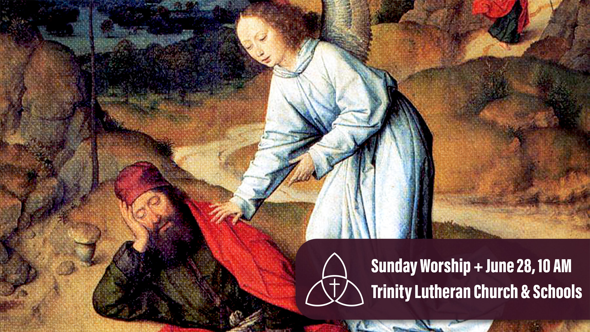 Fifth Sunday after Pentecost