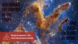 What's Happening for August 29, 2024