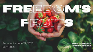 Jeff Tobin + June 29, 2025 Third Sunday after Pentecost / Lectionary 13