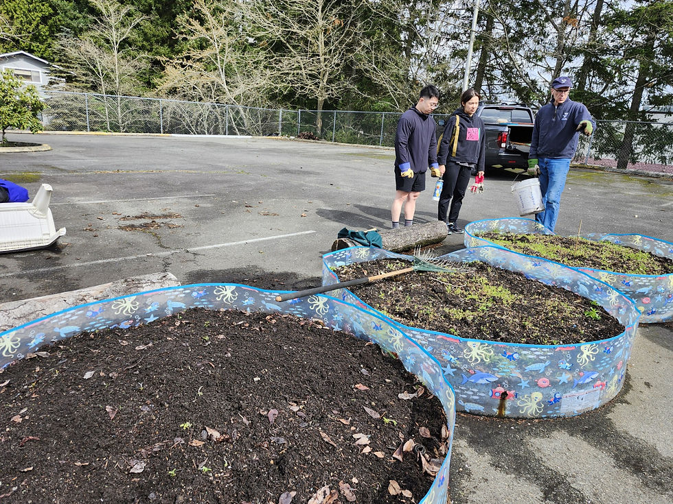 Gardening for Neighbors - preparing the garden beds