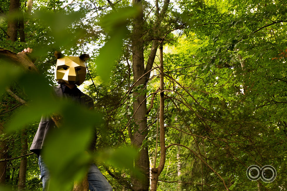 gesichtet - Bär