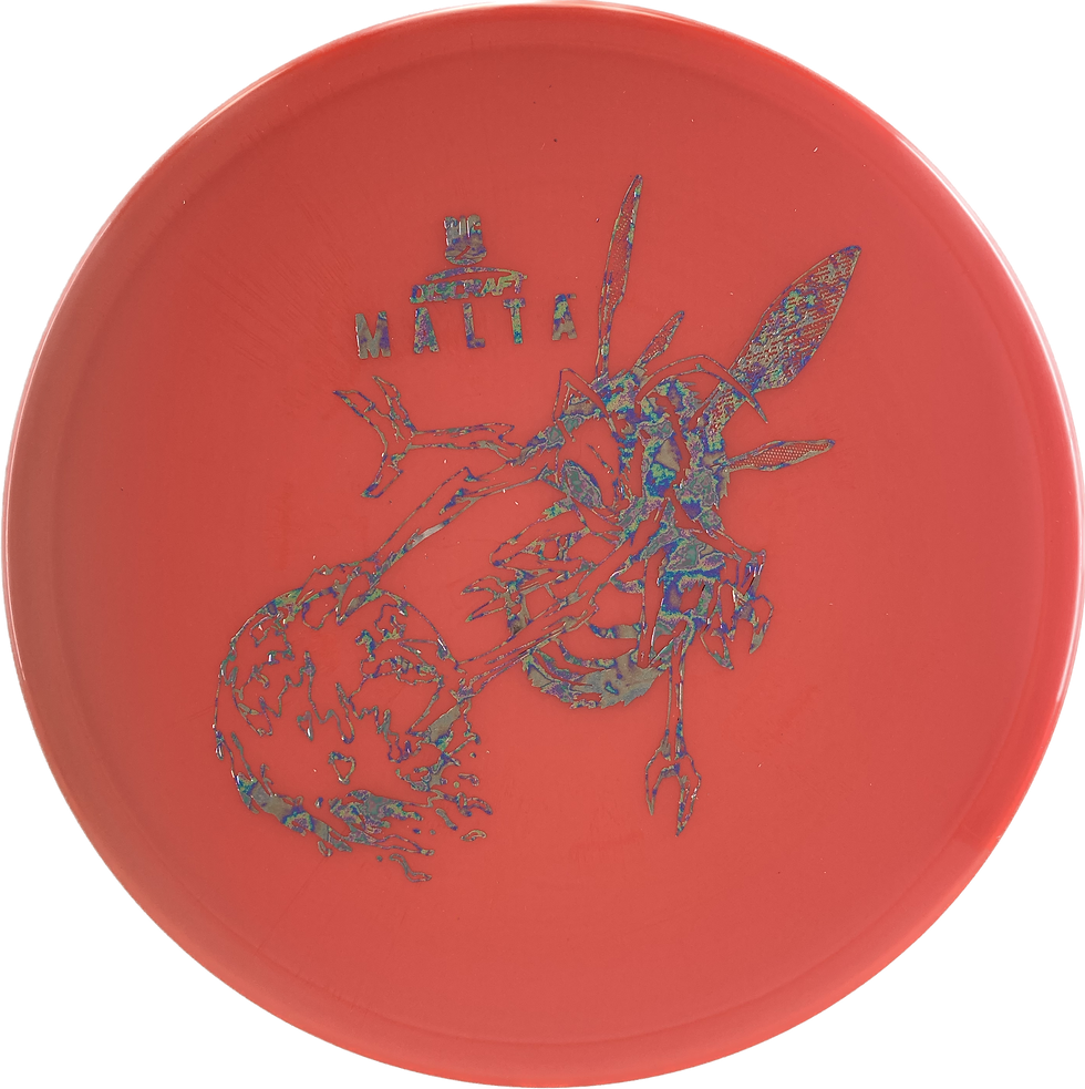 Discraft Malta Big Z Paul McBeth / 173-174g