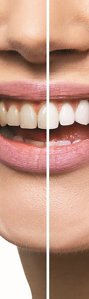 modadental-6.jpg
