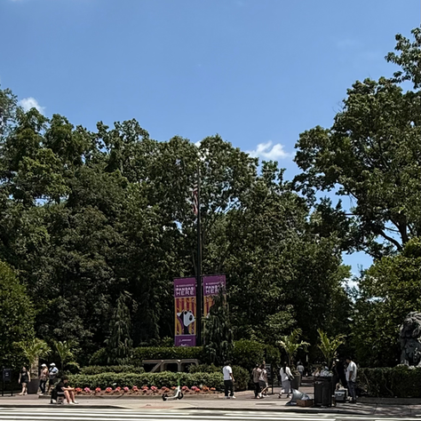 Image of crosswalk leading to park in DC.