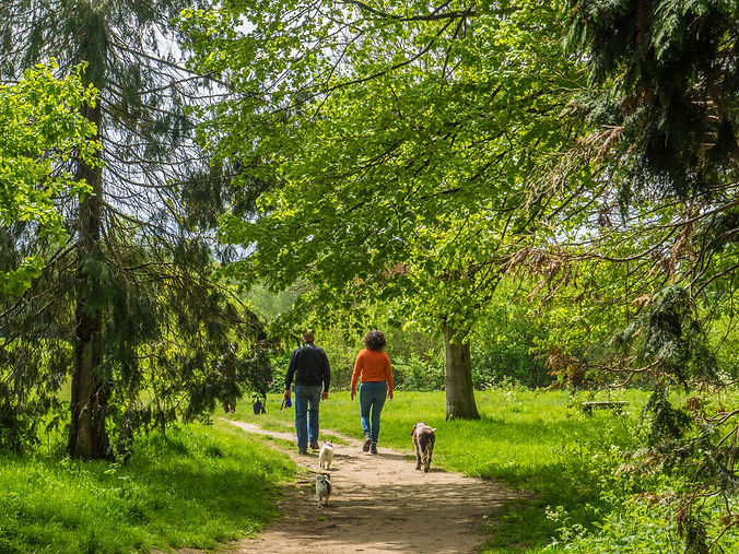 Nonsuch Park Sutton.jpeg