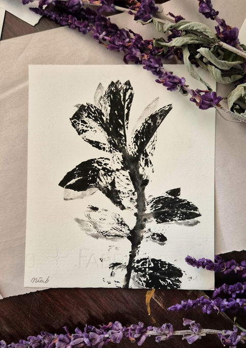 Paper showing a print of plants in black