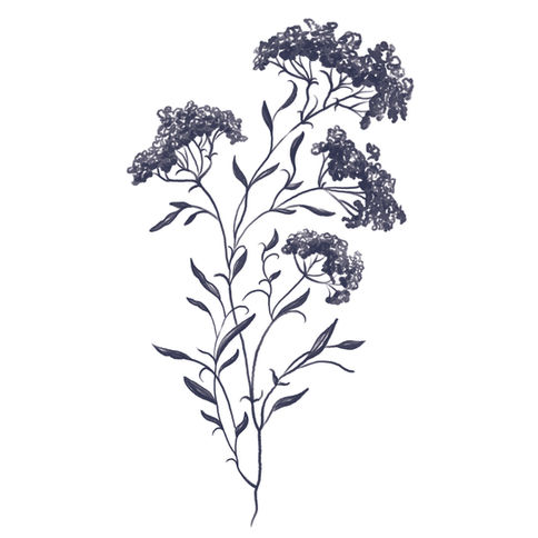 Illustration of delicate flowers