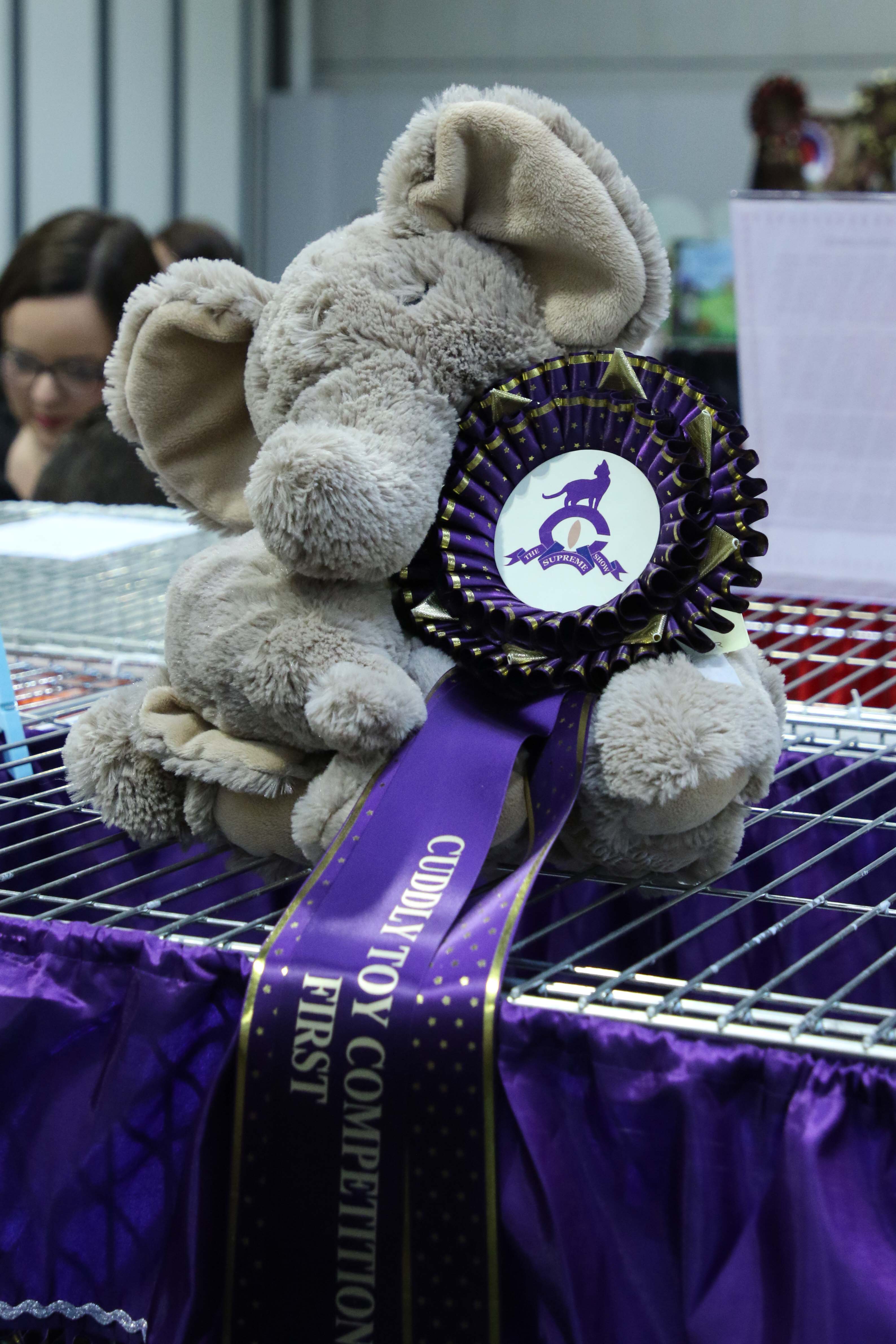 Helen wins Cuddly Toy Comp! (adult)