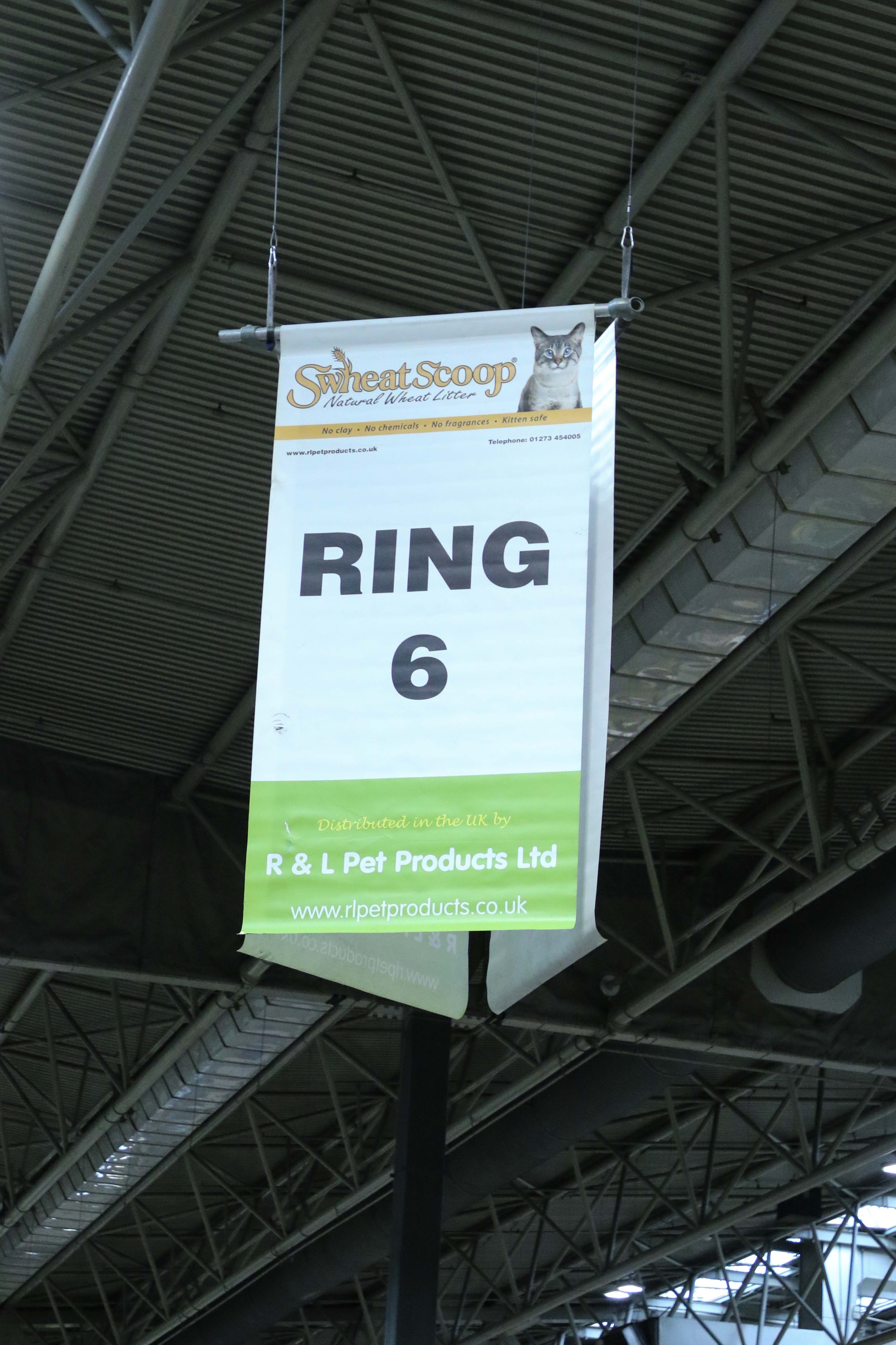 Judging ring
