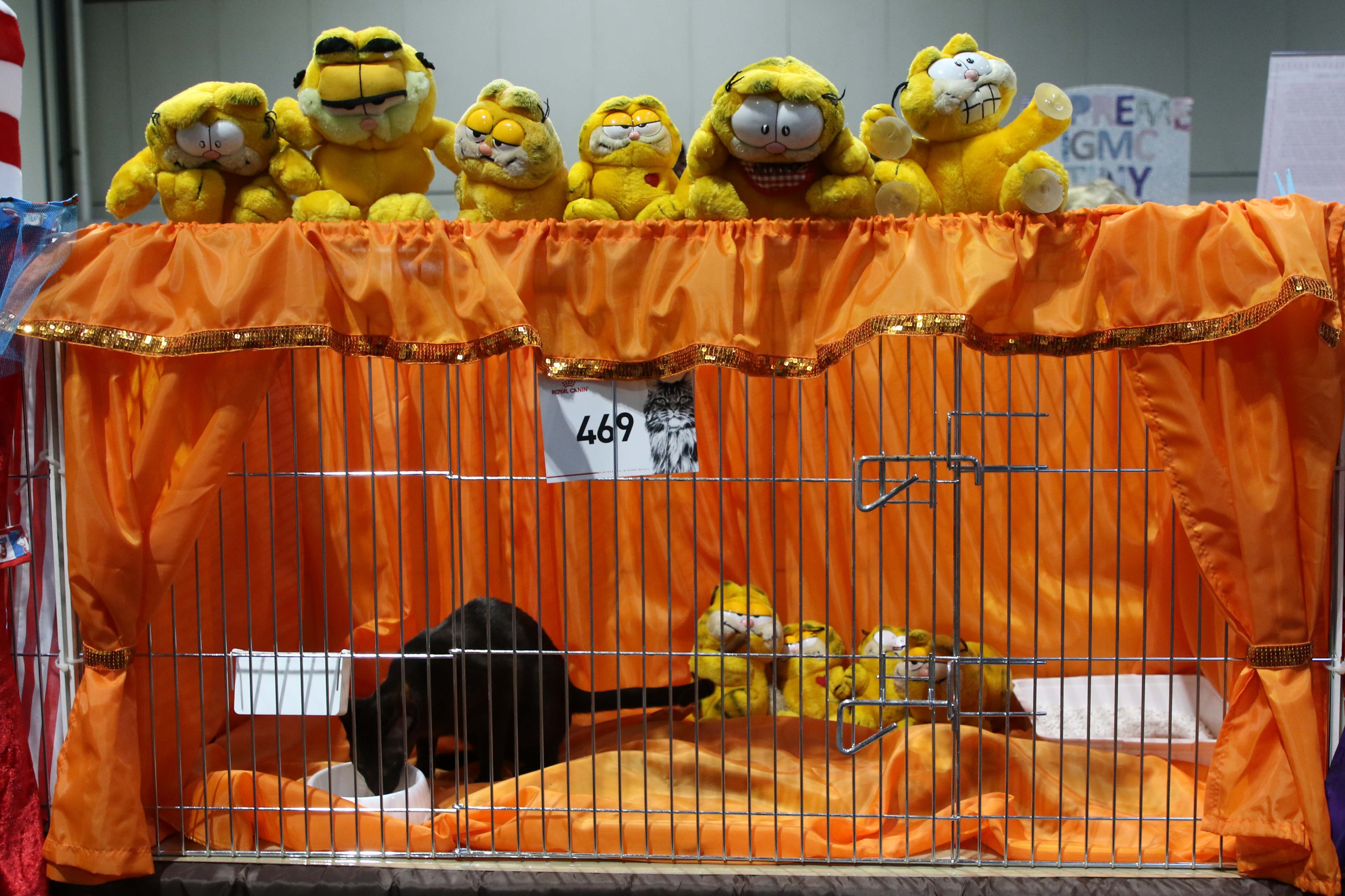 Saffie's Pen Garfield