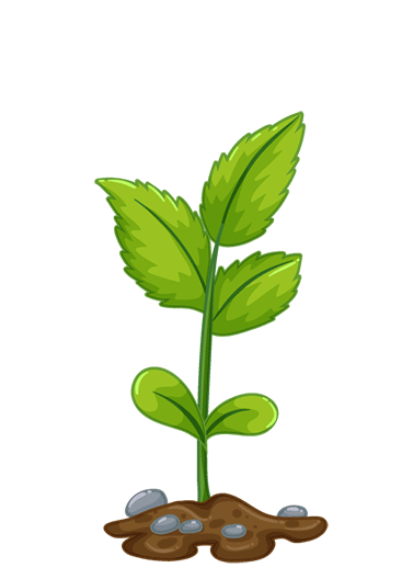 gif-tree2.gif