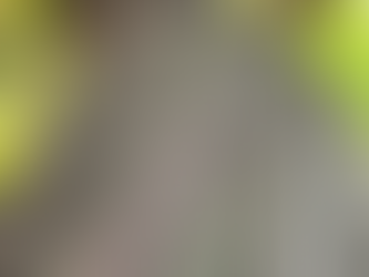 🌿 Autumn Weekends in the Forest of Dean