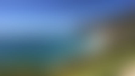 Highway 1: from the Elephant Seals to the Boardwalk