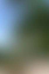 Hawaiian Honeymoon, part 1: Oahu