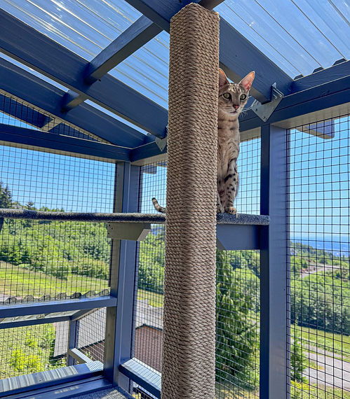 Kalama, WA catio built by The Catio Company.