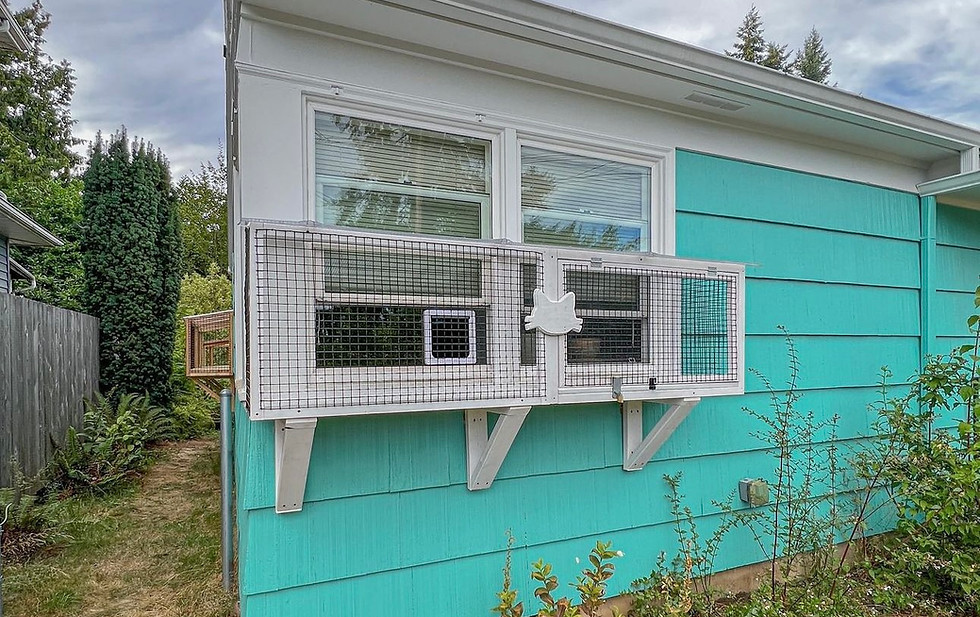 Window box catio attached to a turquoise house, showing a secure structure with mesh panels and brackets for support.
