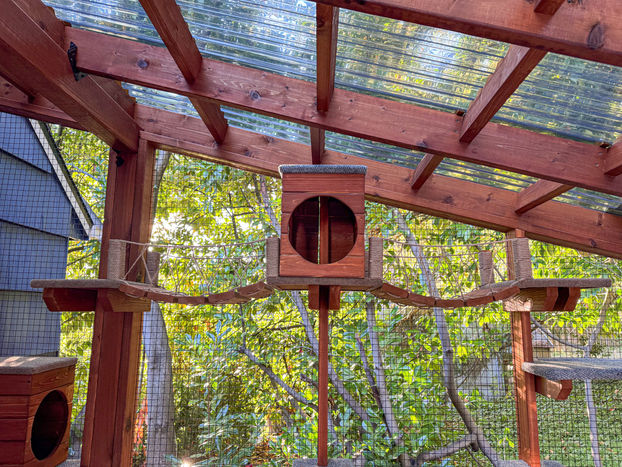 Suspended rope-style catio bridges connected by cedar box in large outdoor cat enclosure.