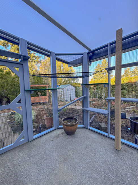 Outdoor custom catio in Camas Washington with climbing structures and safe enclosed design.