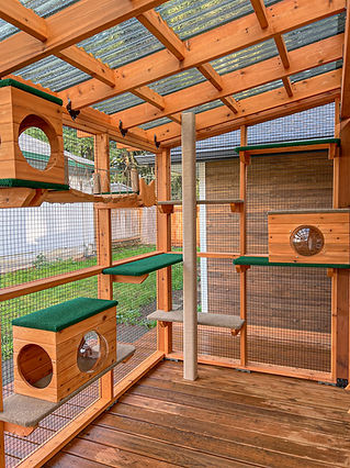 Custom catio interior showcasing cedar framing, carpeted perches, bubble-dome cat boxes, a vertical scratching post, and polycarbonate roofing for year-round use.
