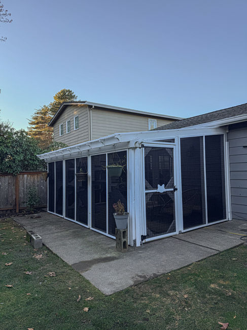 Screened-in catio for cats in Beaverton, Oregon, designed by The Catio Company, showing a spacious cedar-framed enclosure with mesh panels attached to the home.