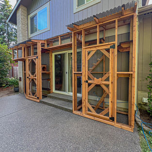 custom catio in Olympia, WA, built and designed by The Catio Company.