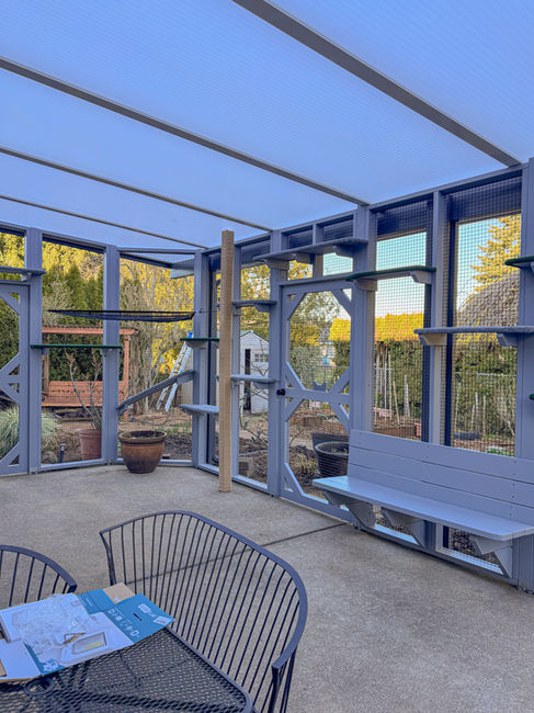 Outdoor cat patio with cedar lumber and heavy-duty mesh by Camas Washington’s trusted catio builder.
