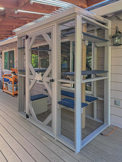 Front-entry catio designed for window access, complete with climbing shelves, weather-resistant roofing, and a secure locking door.