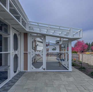 White large catio in Ridgefield, WA