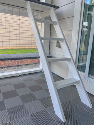 Cedar step ladder inside a custom catio, giving cats a safe way down from higher perches in an outdoor cat enclosure in the Pacific Northwest.
