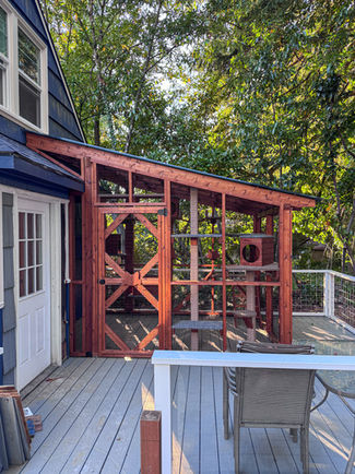 Large 8x12 cedar custom catio in Portland Oregon built by The Catio Company with polycarbonate roof and PVC-coated mesh.