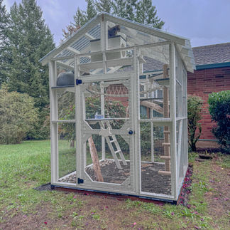 Large custom-built white catio with a peaked roof, multiple levels, and ramps, set on a grassy lawn, providing a secure and spacious outdoor play area for cats