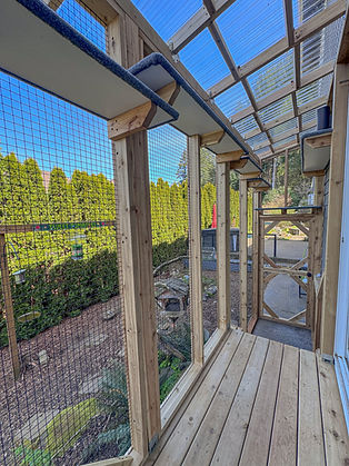 Tigard, OR catio built by The Catio Company.