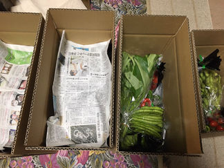 9月4日野菜セット