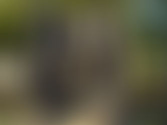 Why US Customers Don’t Respond to Overseas Phone Numbers