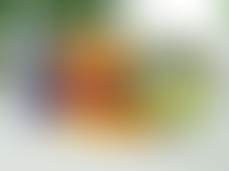 Im Test: Tempehmanufaktur - Tempeh