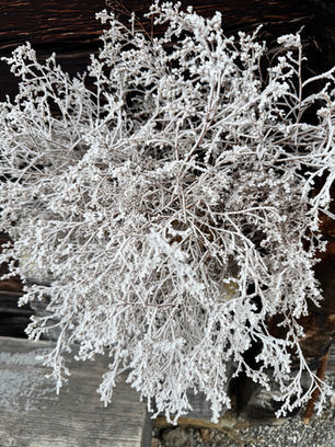 Manches Wesentliche ist leise. Im Alltag überhören wir es leicht