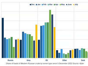 Understanding Global Freight Market Shifts