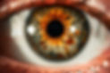 Cornea Test (Fluoret) | Etern Medical