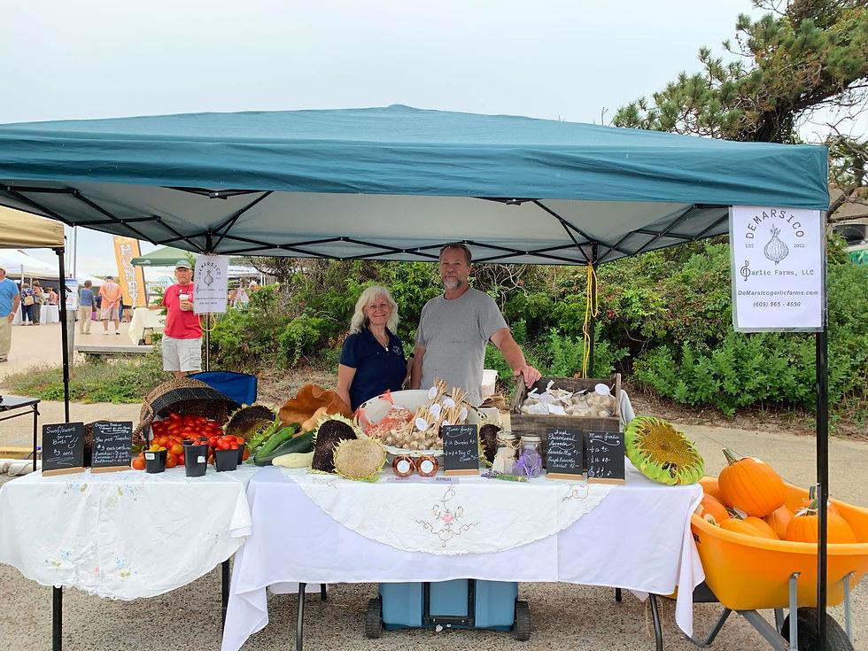 Beach Plum Festival 