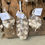 Thumbnail: 3LB Music Garlic Culinary Bulbs
