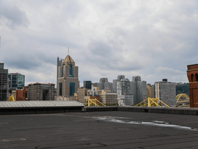 50 Years Of Experience!