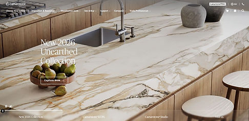 cAESARSTONE WE.JPG