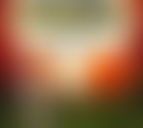 Chad Reviews "Fahrenheit 11/9"