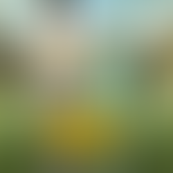 Don Reviews "Borat Subsequent Moviefilm"