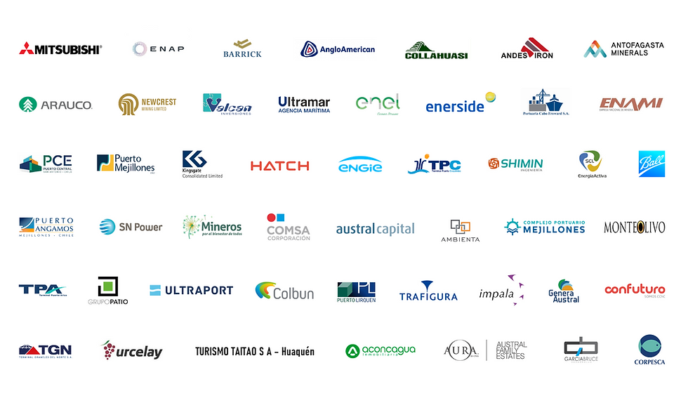 Collage clientes Gysling 15-03-2024.png
